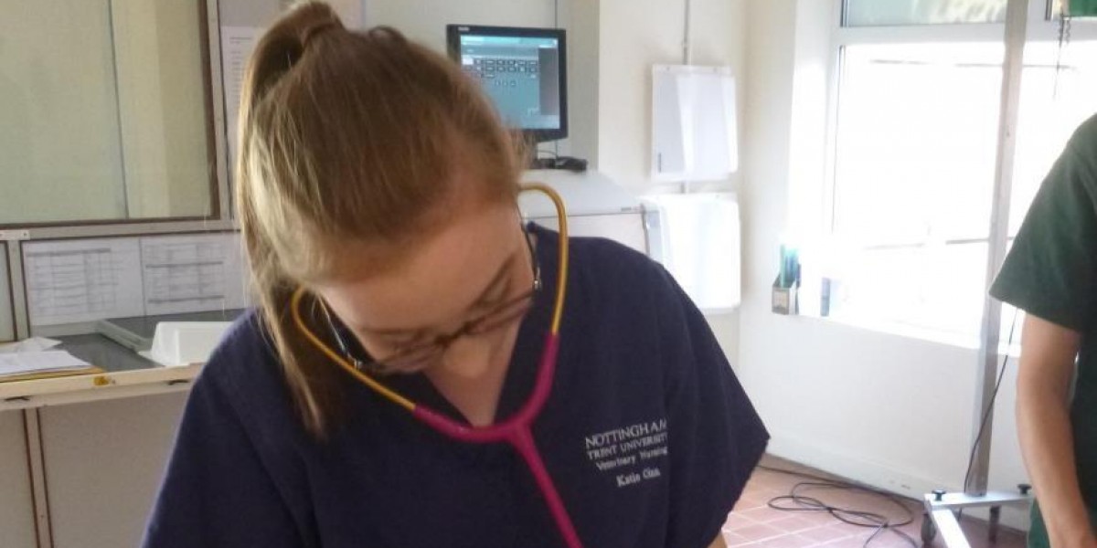 Vet nurse students at the zoo BIAZA